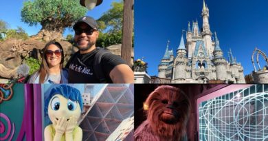 4 Parks 1 Day Challenge At Walt Disney World