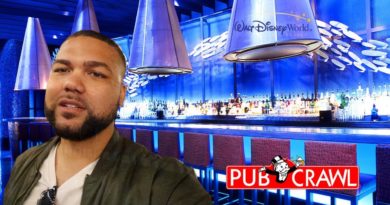 Epcot Resort Bar Crawl - New Disney Challenge - Night Life At Walt Disney World