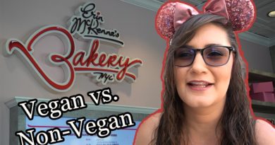 Erin McKenna's Bakery - Vegan & non-vegan food review - Disney Springs