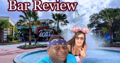 Disney Springs Coca-Cola Store rooftop bar with friends! Specialty drink review and more!