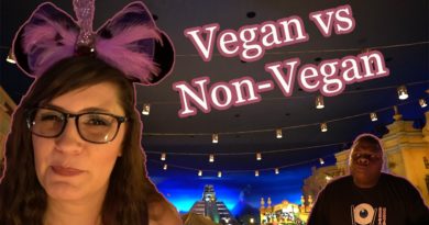 San Angel Inn - Vegan & non-vegan food review - Epcot