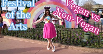 What's vegan around Epcot's 2020 Festival of the Arts? Not much so non-vegan friends share eats too
