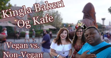 Kringla Bakeri Og Kafe - Food Review of the Norway Bakery at Epcot. Do they have anything vegan?
