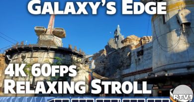 Relaxing Stroll Star Wars Galaxy's Edge