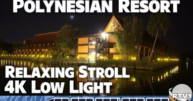 Relaxing Night Stroll - Disney's Polynesian Resort