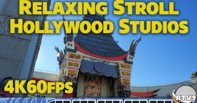 Relaxing Stroll at Disney's Hollywood Studios
