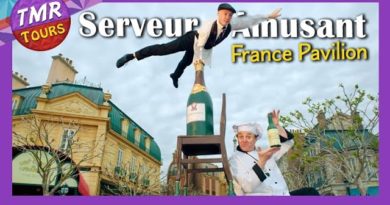 Serveur Amusant - France Pavilion Chair Acrobats - Epcot