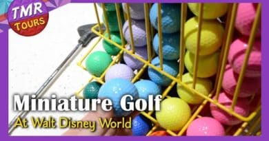 Winter Summerland and Fantasia Gardens - Miniature Golf at Disney