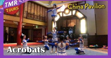 Chinese Acrobats at the China Pavilion - Epcot