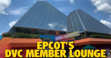 DVC Member Lounge - Epcot