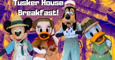 Donald's Safari Breakfast at Tusker House Restaurant | Disney's Animal Kingdom