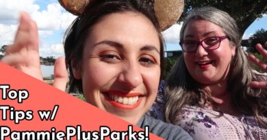Plus Size and Disability at Disney World - Ivy Winter
