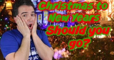 Should you go to Disney during the Last 2 weeks of December?