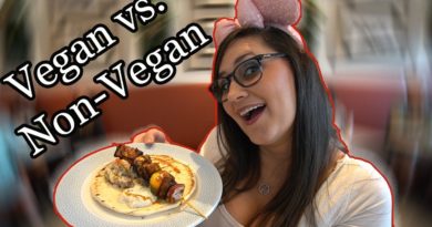 Princess and the Bear - Primo Piatto Vegan Vs Non-Vegan Quick Service Food Review