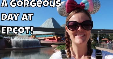 A Gorgeous Day at Epcot - Rides, Food and More