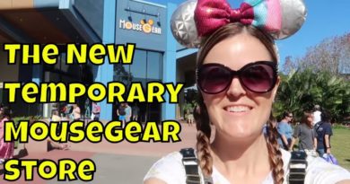 The New Temporary MouseGear Store at Epcot & Some New Merchandise