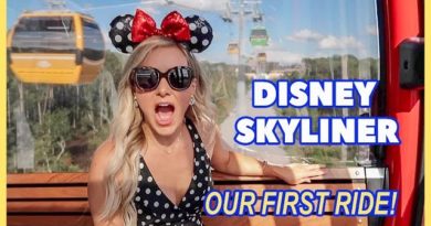 Our FIRST Ride on the Disney Skyliner at Walt Disney World
