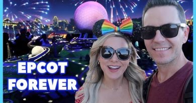 EPCOT FOREVER Fireworks Opening Night & NEW Preview Center