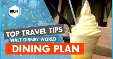 The Do's & Don'ts of the Disney Dining Plan