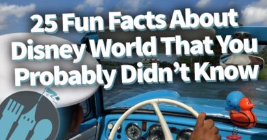 25 Fun Facts About Disney World That You Probably Didn't Know