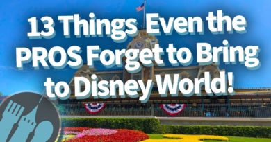 13 Things Even the Pros Forget to Bring to Disney World