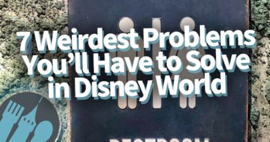 The 7 Weirdest Problems You'll Have to Solve in Disney World