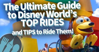 The Ultimate Guide to Disney World’s TOP Rides and Tips to Ride Them