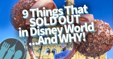 9 Things That SOLD OUT In Disney World...And WHY