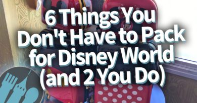 6 Things You Don't Have to Pack for Disney World, and 2 You Definitely Do!