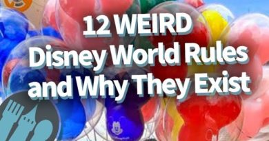 12 Weird Disney World Rules, and Why They Exist