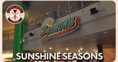 Sunshine Seasons - Disney Dining Show