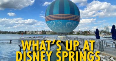 What's Happening at Disney Springs? February 24, 2020 Update