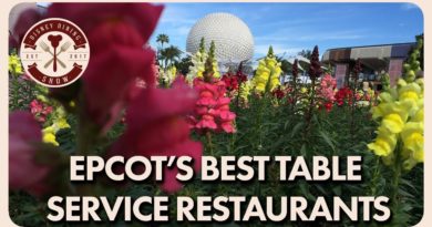Epcot's Best Table Service Restaurants - Disney Dining Show