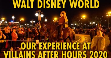 Our Experience at Villains After Hours at Magic Kingdom