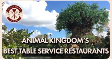 Animal Kingdom's Best Table Service Restaurants - Disney Dining Show