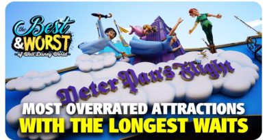 Most Overrated Attractions with the Longest Waits at Walt Disney World - Best & Worst