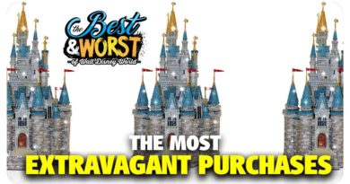 The Most Extravagant Purchases You Can Make at Walt Disney World - Best & Worst