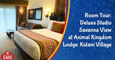 Full Room Tour of Disney's Animal Kingdom Lodge: Kidani Village Deluxe Studio Savanna View