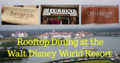 The Top Three Walt Disney World Resort Rooftop Restaurants