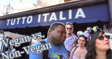 Tutto Italia Ristorante - Vegan & non-vegan food review with friends - Epcot