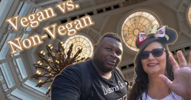 Grand Floridian Cafe Lunch - Vegan & non-vegan food review with Nerd on a Whim