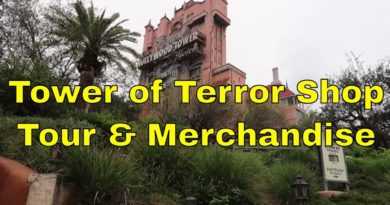 Disney Hollywood Studios Tower of Terror Shop Tour & Merchandise