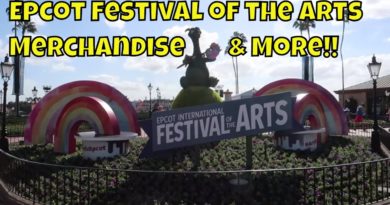 Epcot Festival of the Arts Merchandise and More