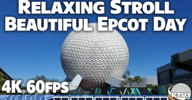 Beautiful Day for a Relaxing Stroll at Epcot