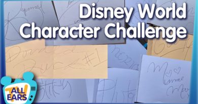 How Many Characters Can You Meet in ONE DAY at Disney World?