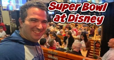 Where to watch the Super Bowl at Disney World
