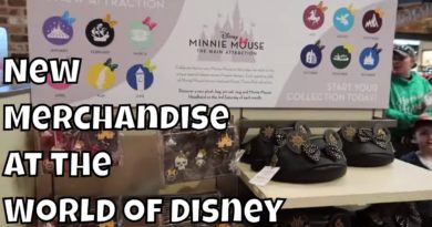 Minnie Mouse The Main Attraction Merchandise for February & The Ink and Paint Merchandise