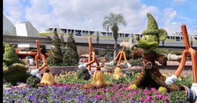 Flower and Garden Festival 2020 Opens at Disney’s EPCOT - Tasting Foods / World Showcase Walk Thru