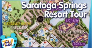 Disney's Saratoga Springs Resort is One of the Most Unique Hotels, Here's Why It Might Be The Best
