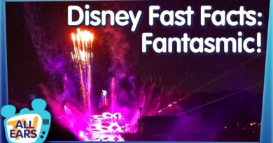Disney's Fantasmic! Costs HOW Much? And More Behind the Scenes Details You Probably Didn't Know
